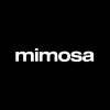 Mimosa - Best Digital Marketing Agencies Berlin